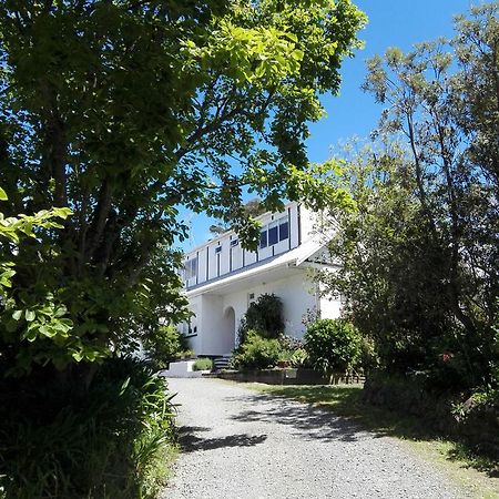 Purple Hen Country Lodge Katikati Esterno foto