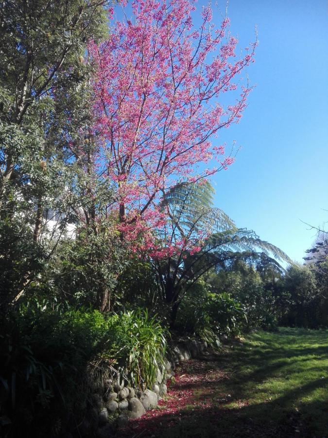 Purple Hen Country Lodge Katikati Esterno foto