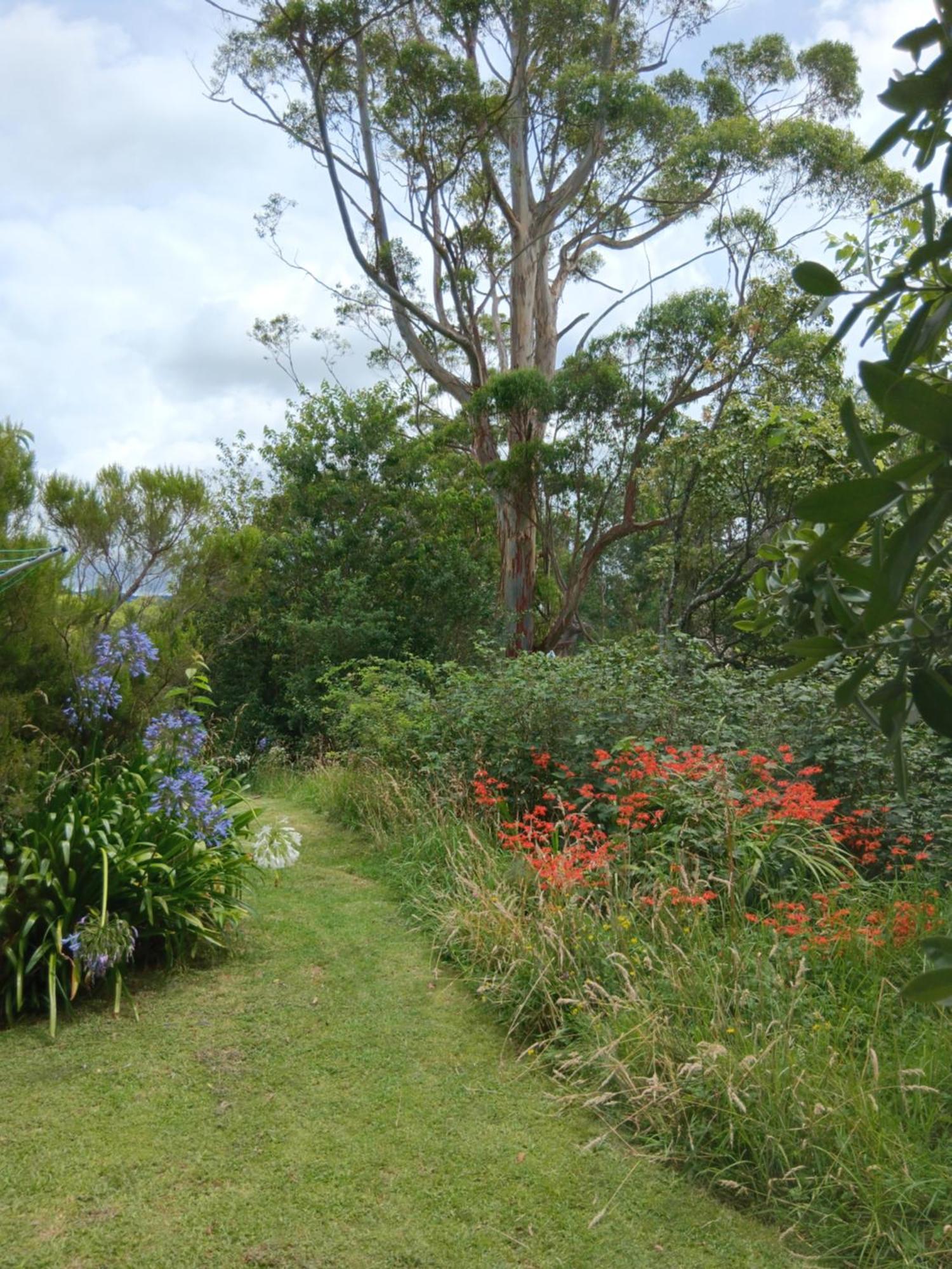 Purple Hen Country Lodge Katikati Esterno foto