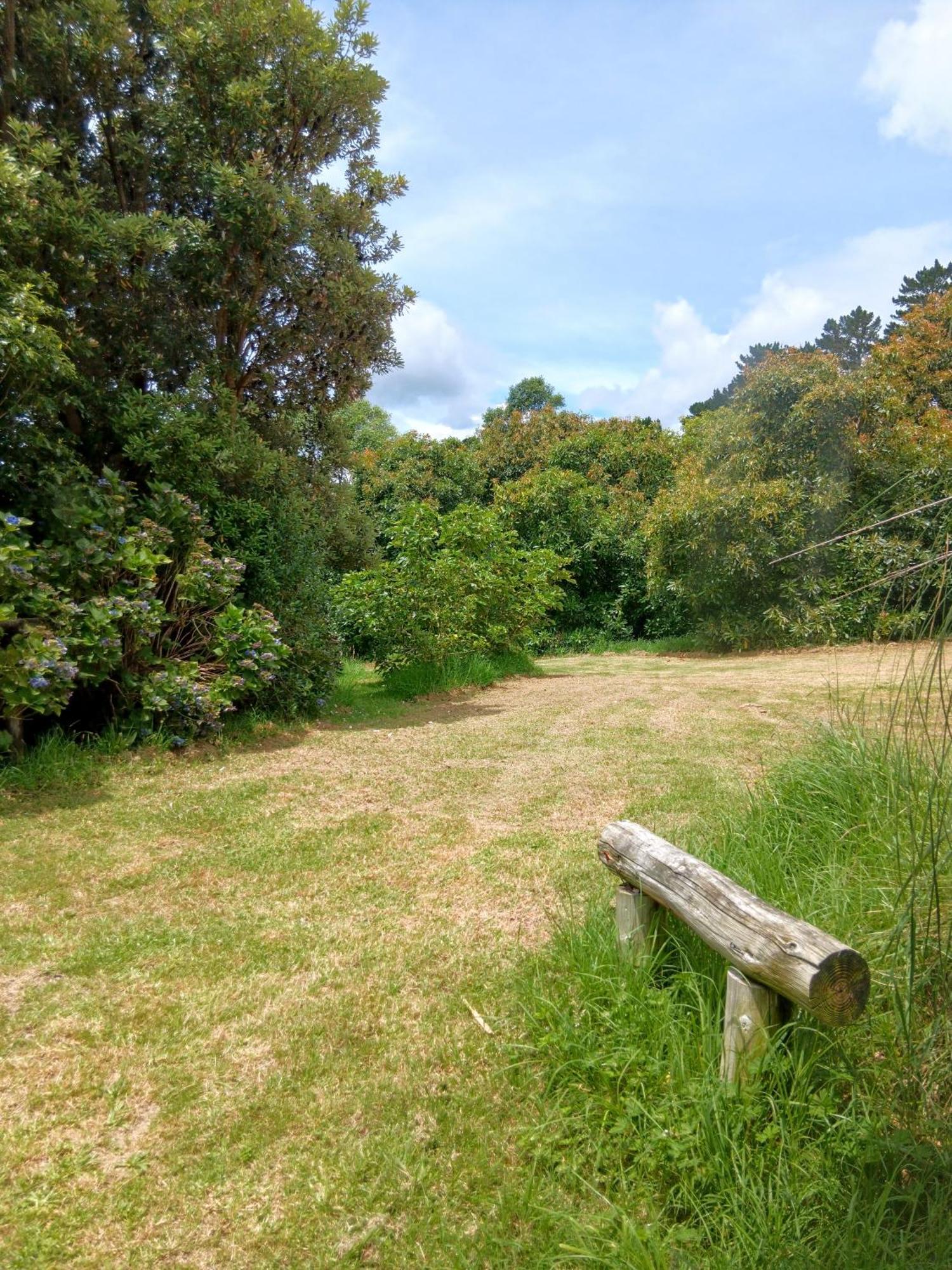 Purple Hen Country Lodge Katikati Esterno foto
