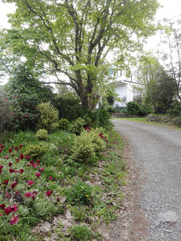 Purple Hen Country Lodge Katikati Esterno foto