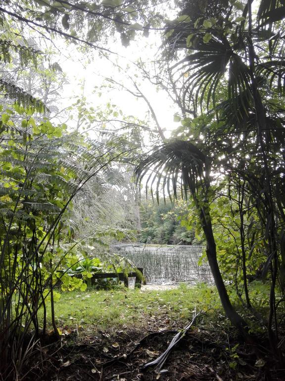 Purple Hen Country Lodge Katikati Esterno foto