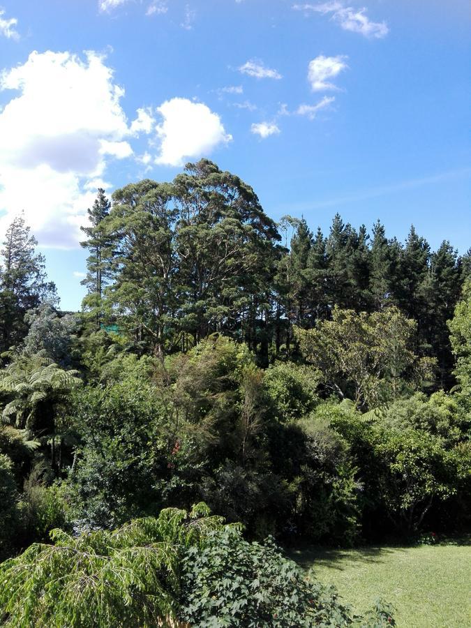 Purple Hen Country Lodge Katikati Esterno foto