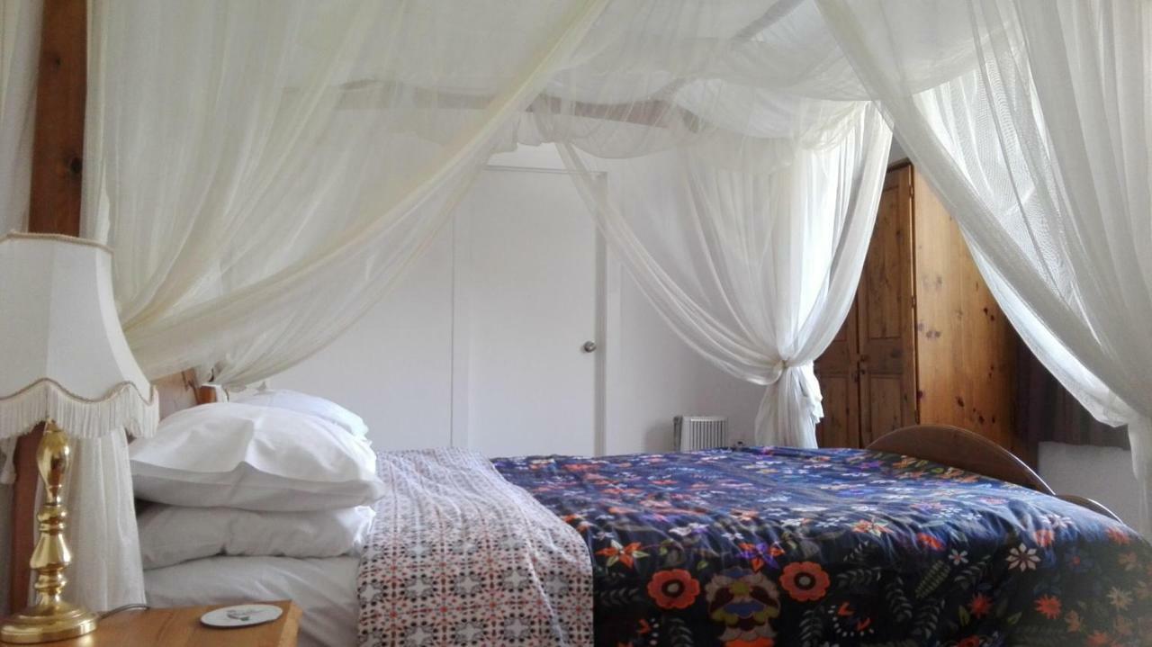 Purple Hen Country Lodge Katikati Esterno foto